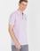 Erkek Manolya Polo Yaka Tişört