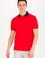 Erkek Kırmızı Polo Yaka Tişört