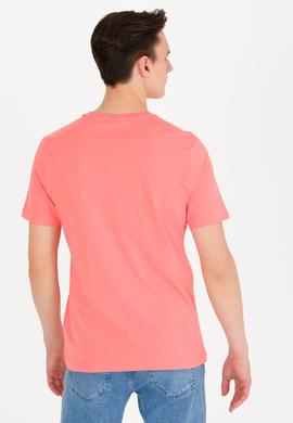 Erkek Somon Basic Bisiklet Yaka Tişört - 50262976203