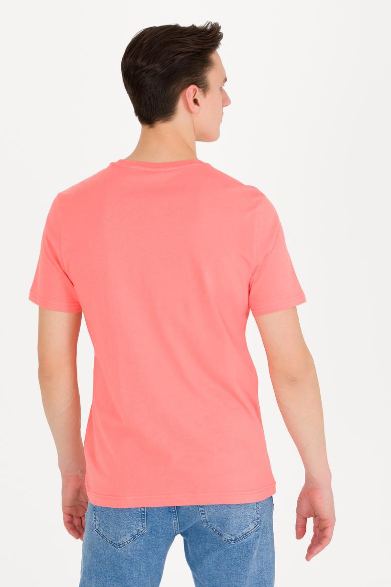 Erkek Somon Basic Bisiklet Yaka Tişört - 50262976203