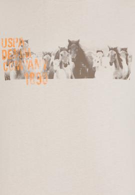 Erkek Taş Bisiklet Yaka Tişört - 50263365036