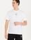Erkek Beyaz Bisiklet Yaka T-Shirt