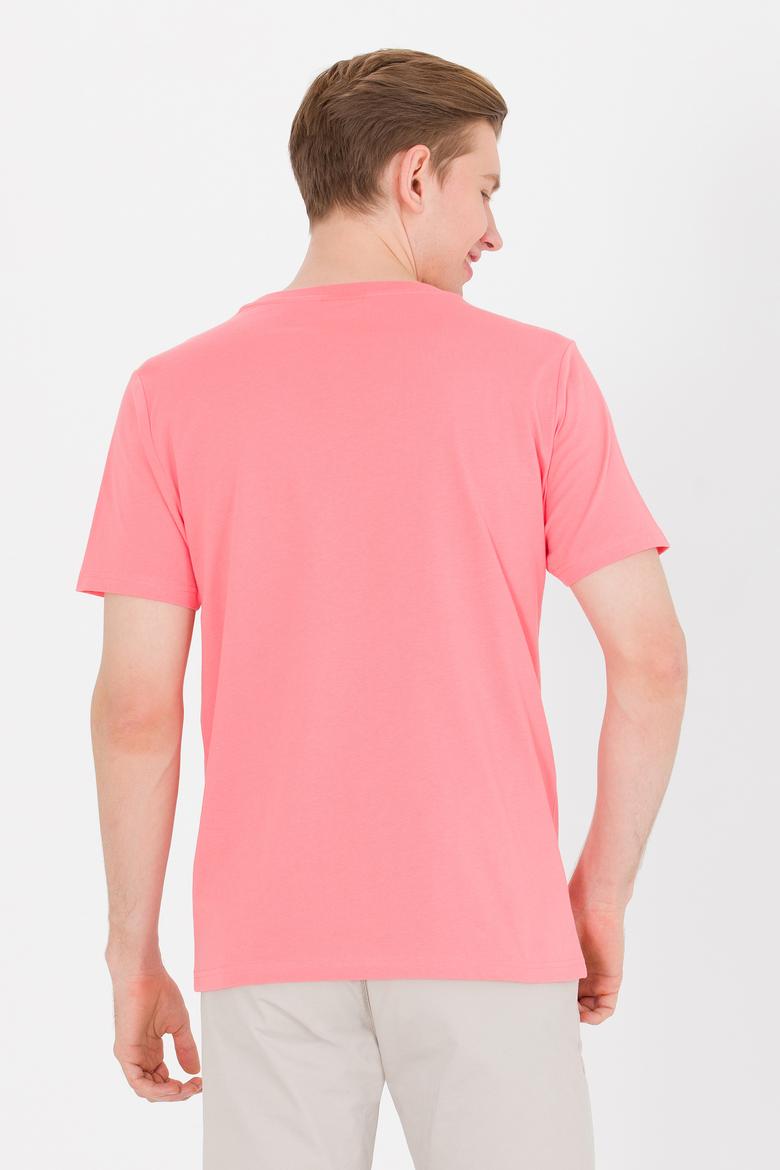 Erkek Somon Basic Bisiklet Yaka Tişört - 50264918108