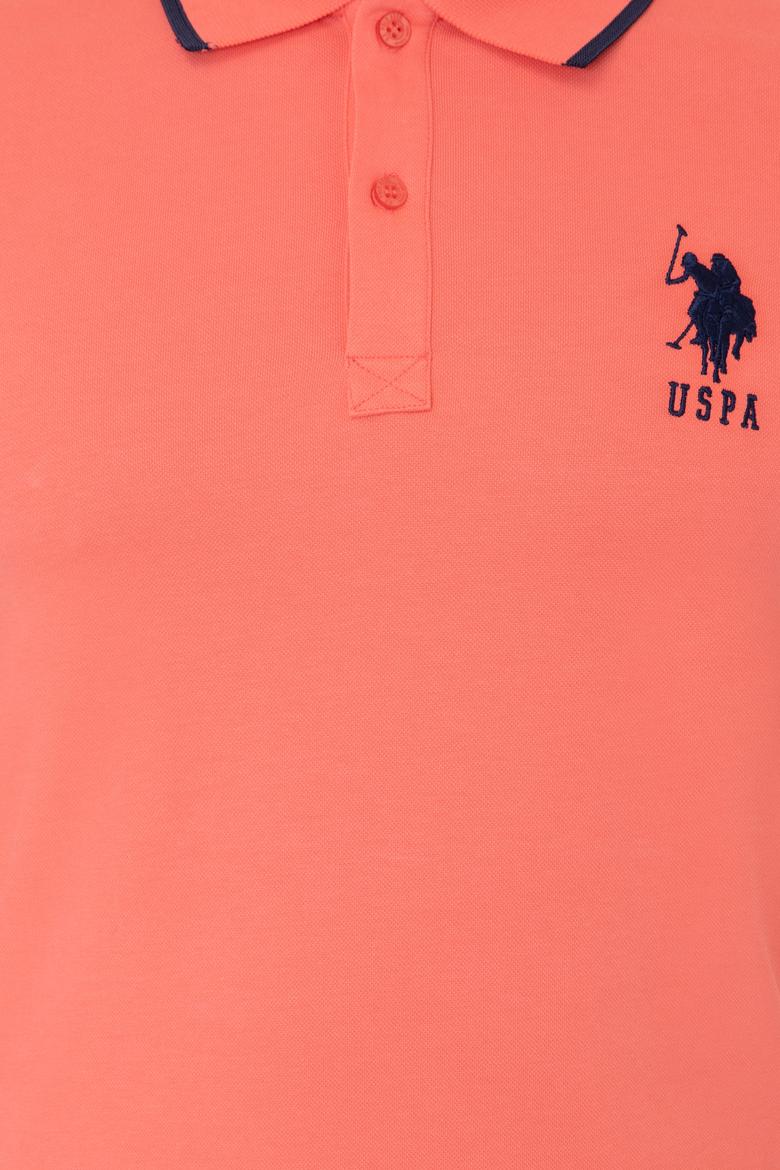 Erkek Nar Çiçeği Basic Tişört - 50231766020