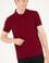 Erkek Plum Basic Polo Yaka Tişört