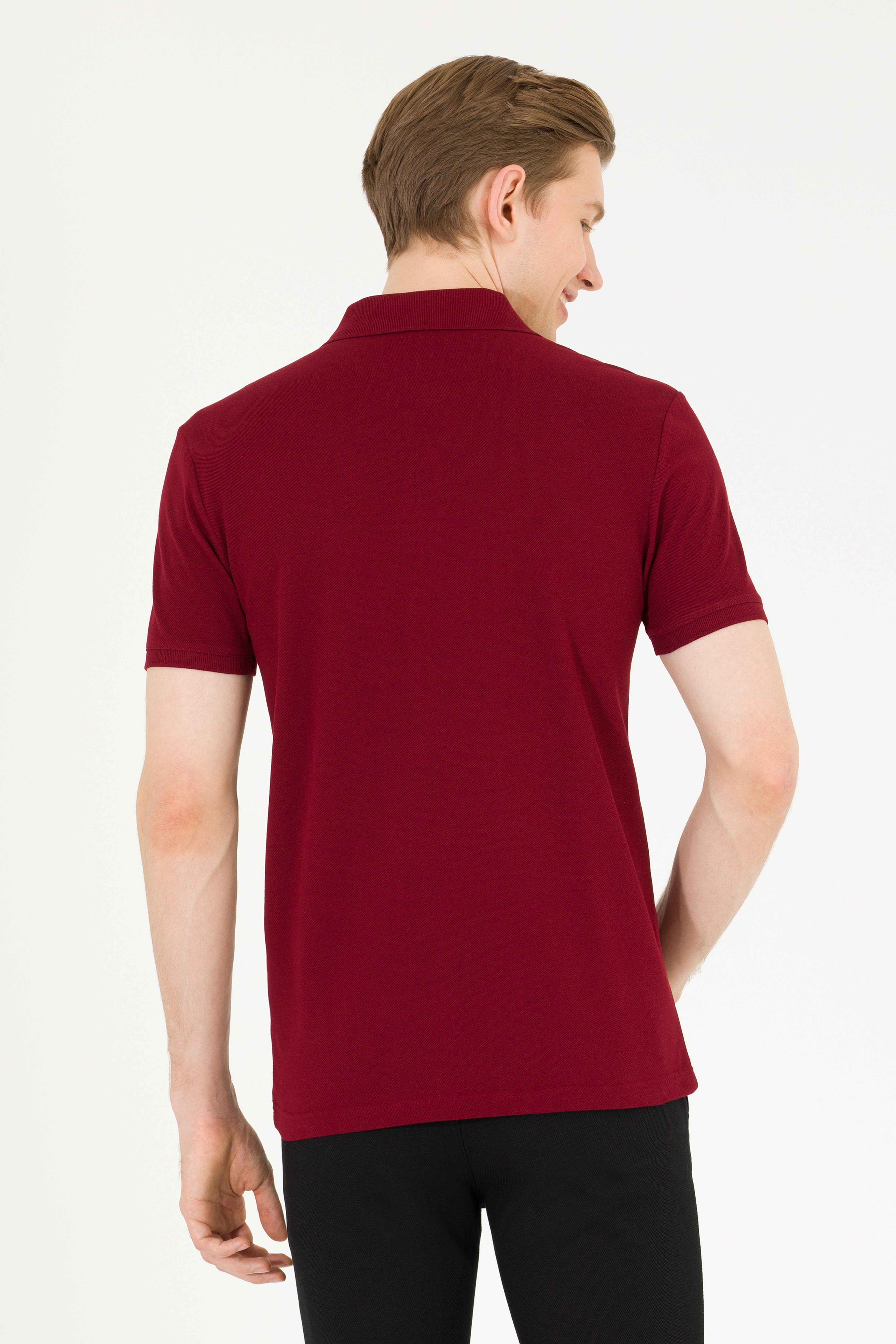 Erkek Plum Basic Polo Yaka Tişört - Image 5
