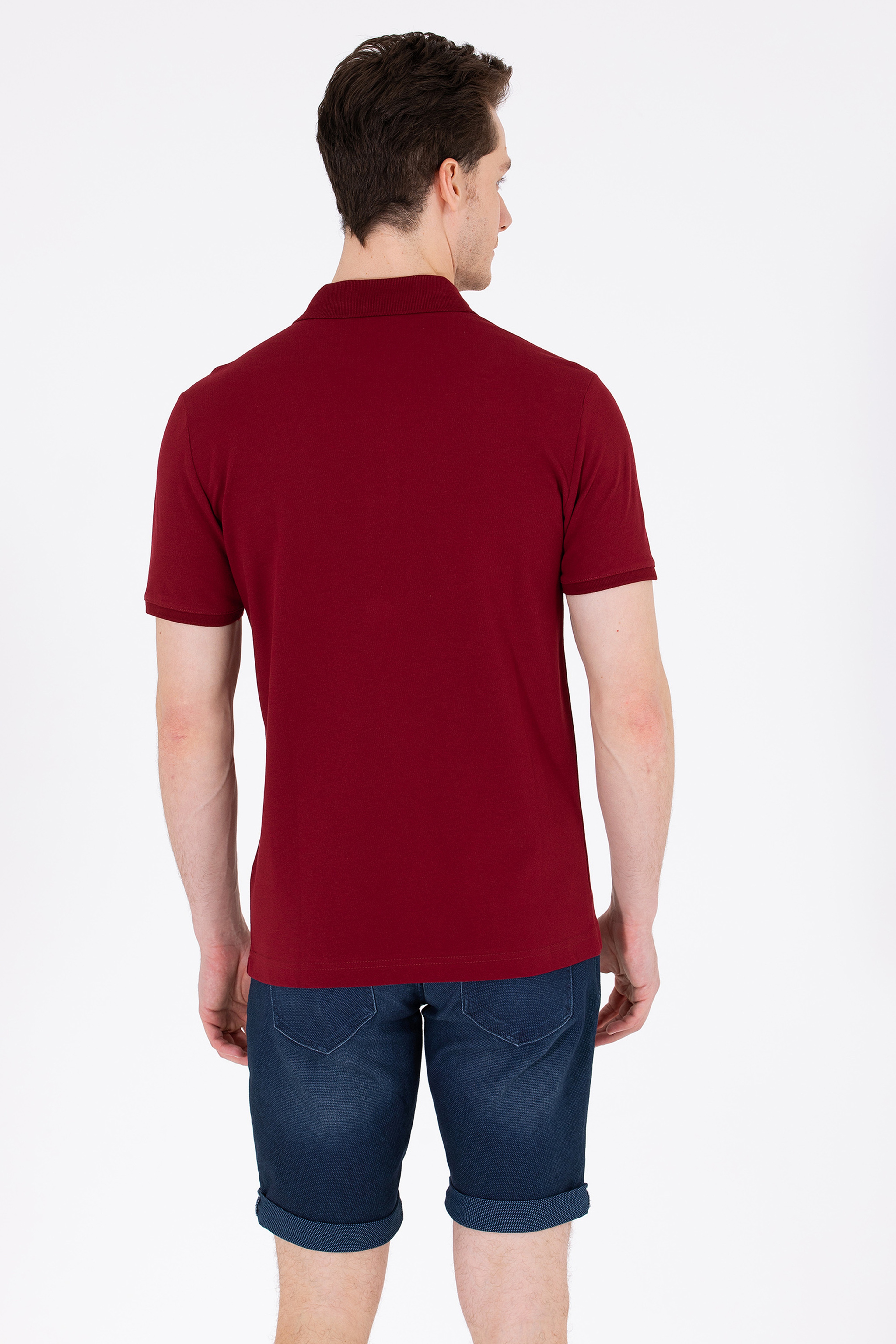 Erkek Plum Polo Yaka Basic T-Shirt