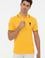 Erkek Sarı Polo Yaka Basic T-Shirt