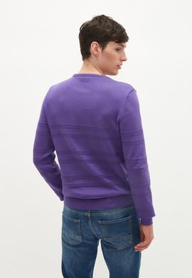 Erkek Violet Kazak - 50240246089