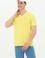 Erkek Citron Basic V Yaka Tişört
