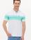 Erkek Mint Polo Yaka Tişört