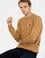 Erkek Coconut V Yaka Basic Triko Kazak
