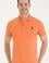 Erkek Kiremit Basic Polo Yaka Tişört