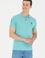 Erkek Mint Basic Polo Yaka Tişört