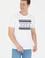 Erkek Beyaz Bisiklet Yaka Tişört
