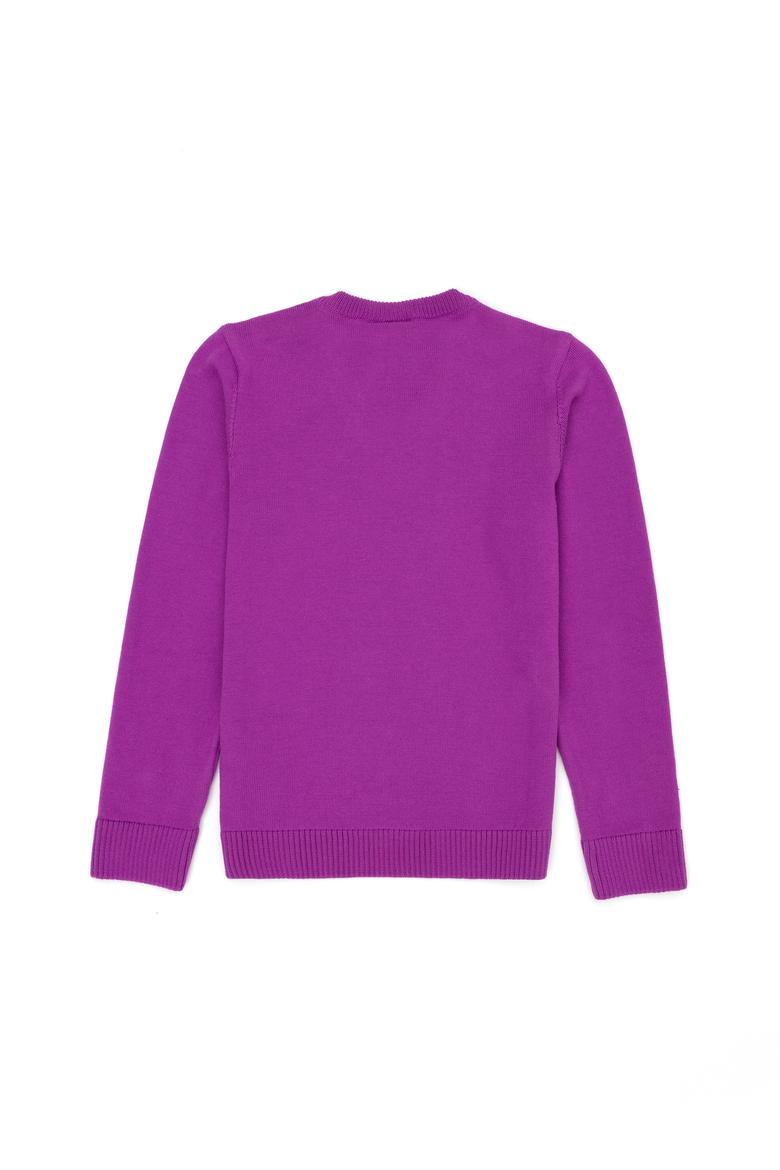 Kız Çocuk Violet Basic V Yaka Kazak - 50275850032