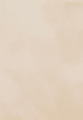 Kadın Krem Cüzdan - 50267014003