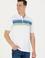 Erkek Saks Polo Yaka Tişört
