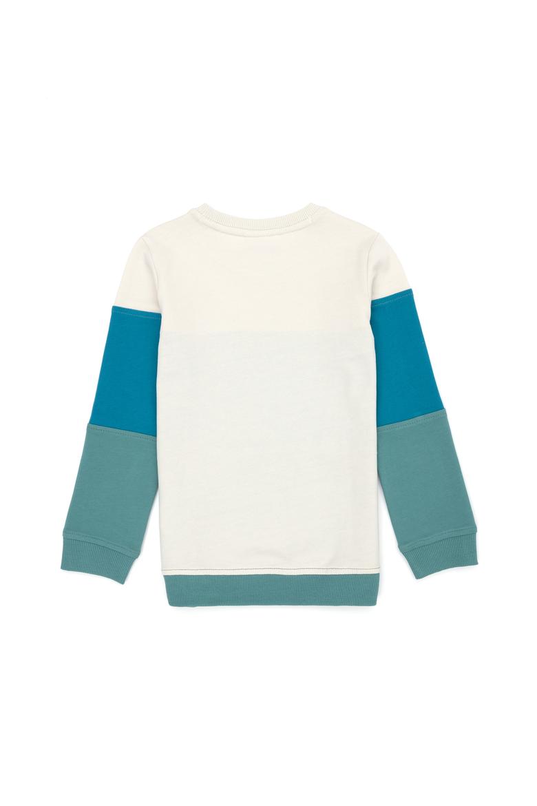 Çocuk Mint Bisiklet Yaka Sweatshirt - 50274390025