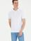 Erkek Beyaz Basic Polo Yaka Tişört