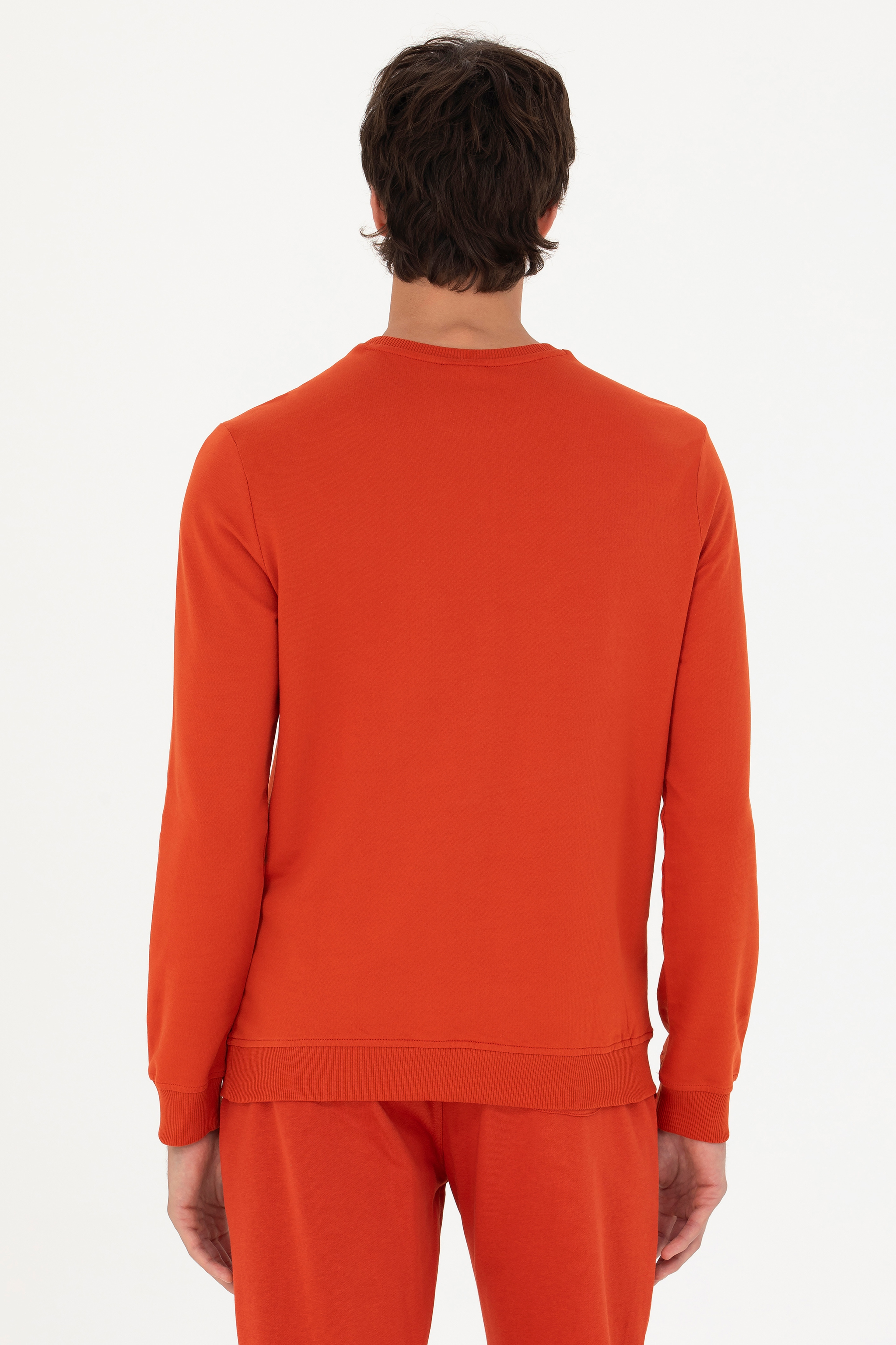 Erkek Kiremit Basic Sweatshirt - Image 5