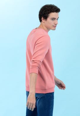 Somon Bisiklet Yaka Basic Sweatshirt - 50276089068