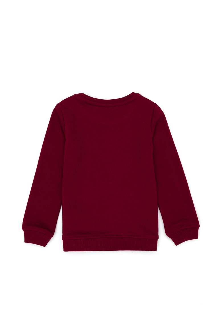 Erkek Çocuk Bordo Basic Bisiklet Yaka Sweatshirt - 50274408010