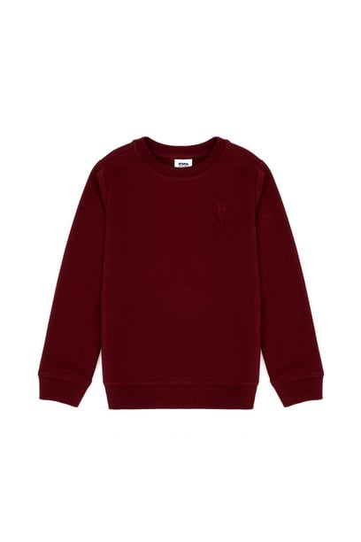 Erkek Bebek Bordo Basic Sweatshirt
