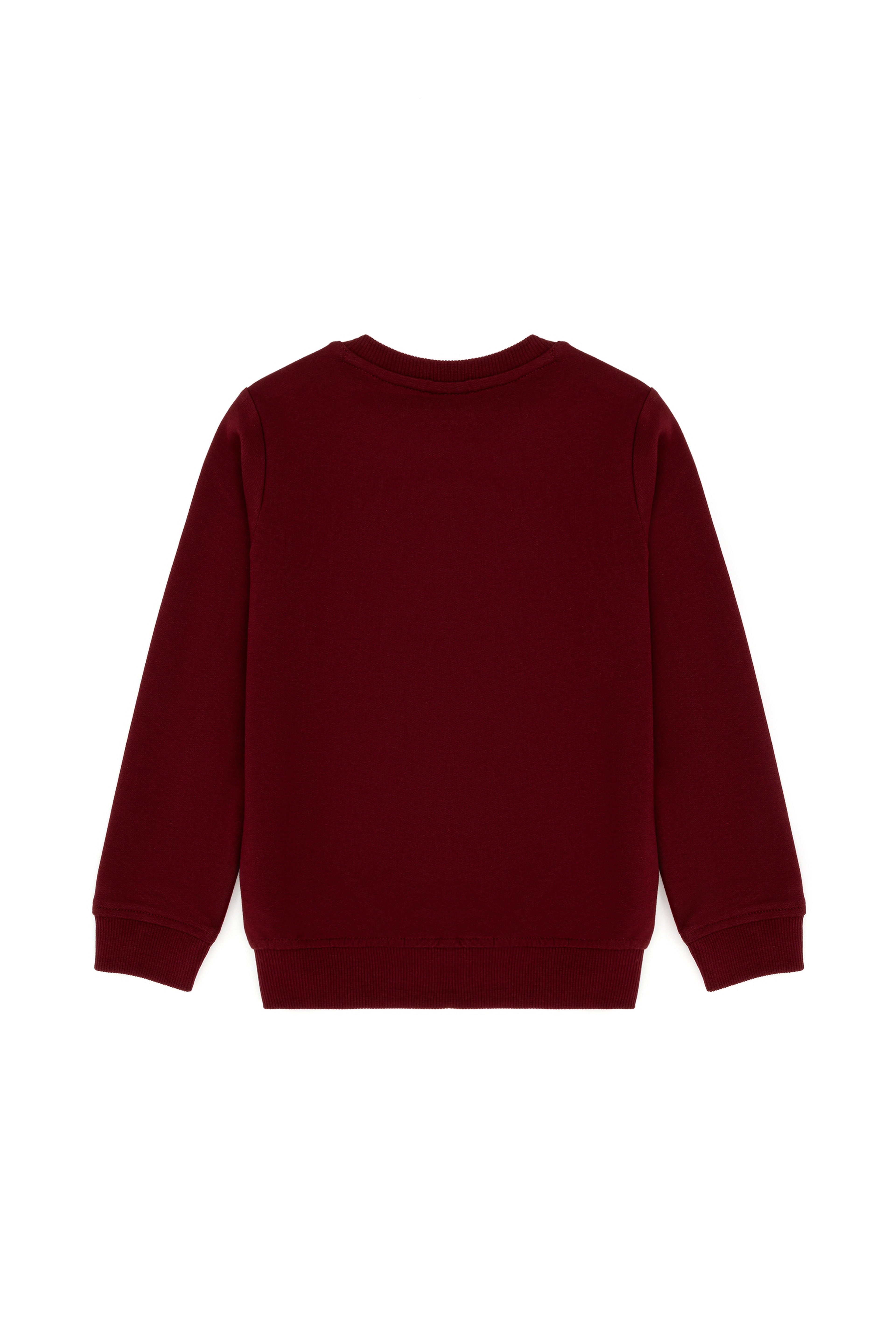 Erkek Bebek Bordo Basic Sweatshirt