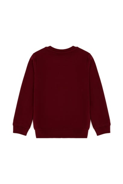 Erkek Bebek Bordo Basic Sweatshirt