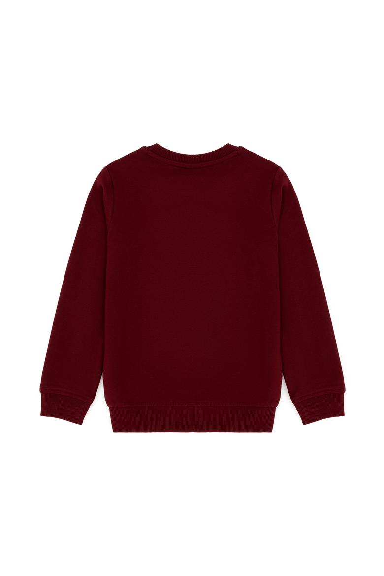 Çocuk Bordo Basic Bisiklet Yaka Sweatshirt - 50269417078