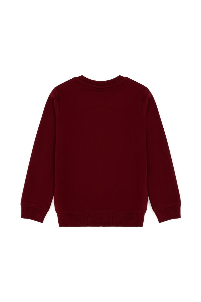 Erkek Bebek Bordo Basic Sweatshirt