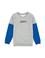 Erkek Çocuk Gri Melanj Bisiklet Yaka Sweatshirt