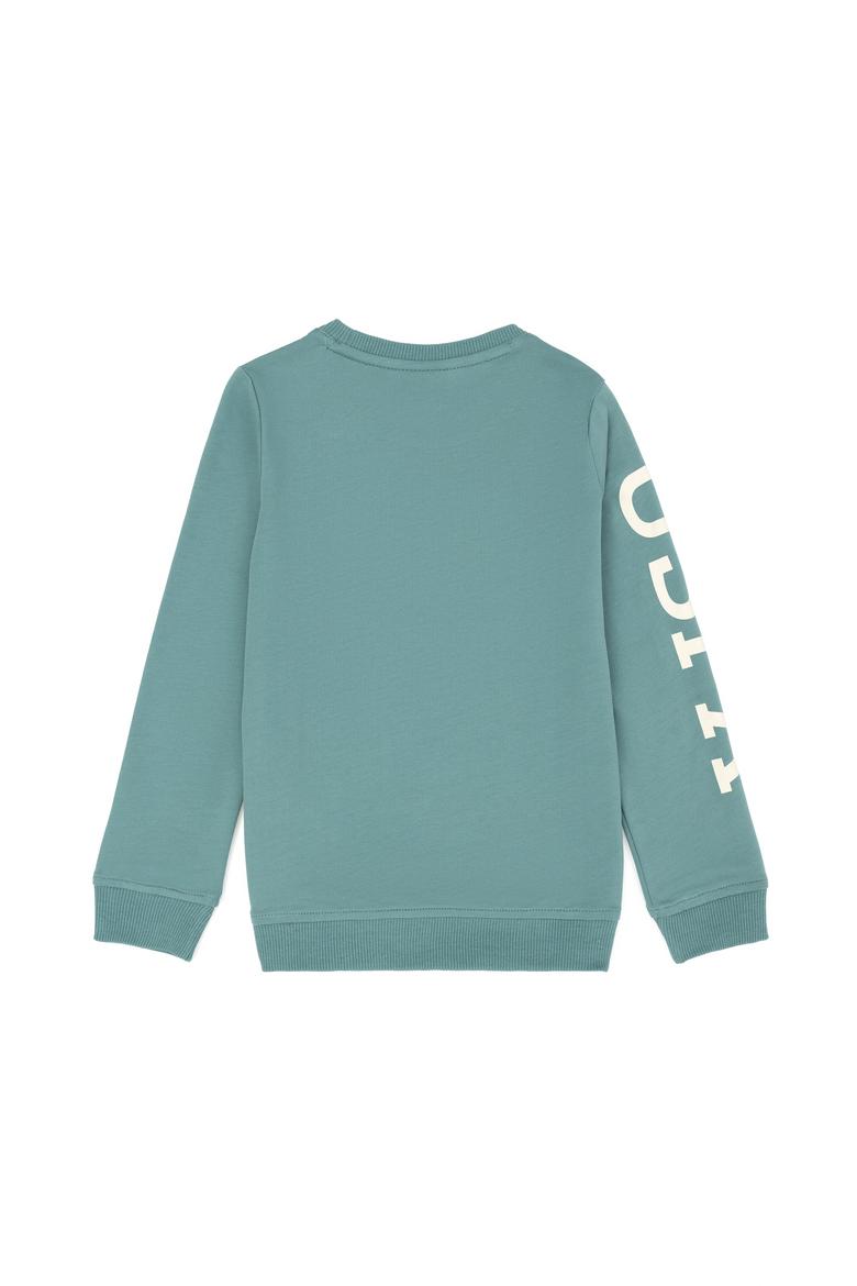 Erkek Çocuk Mint Basic Bisiklet Yaka Sweatshirt - 50274410039