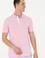 Erkek Manolya Polo Yaka Tişört