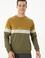 Erkek Haki Sweatshirt