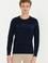 Erkek Lacivert Bisiklet Yaka Triko Kazak