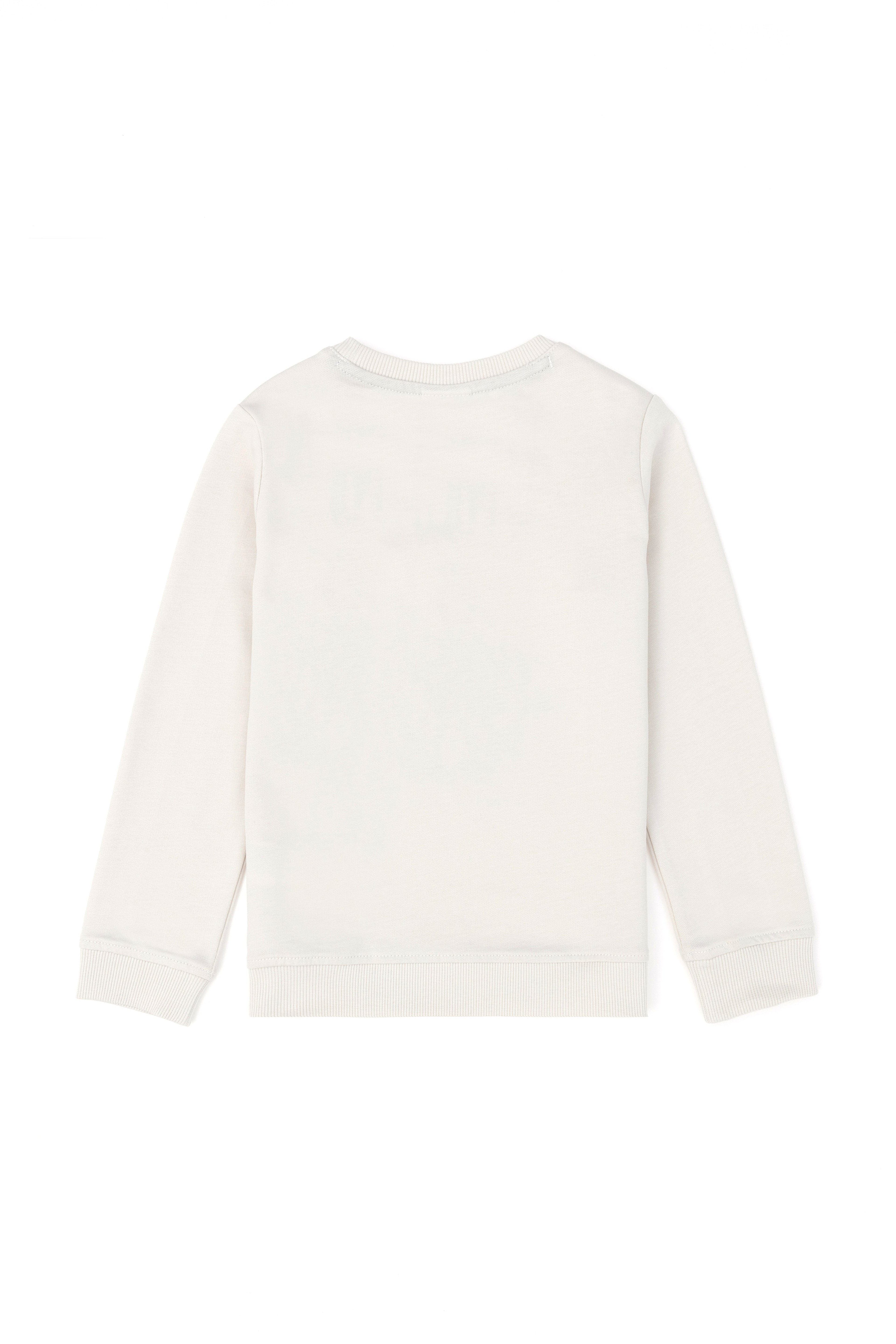 Erkek Çocuk Taş Sweatshirt - Image 2