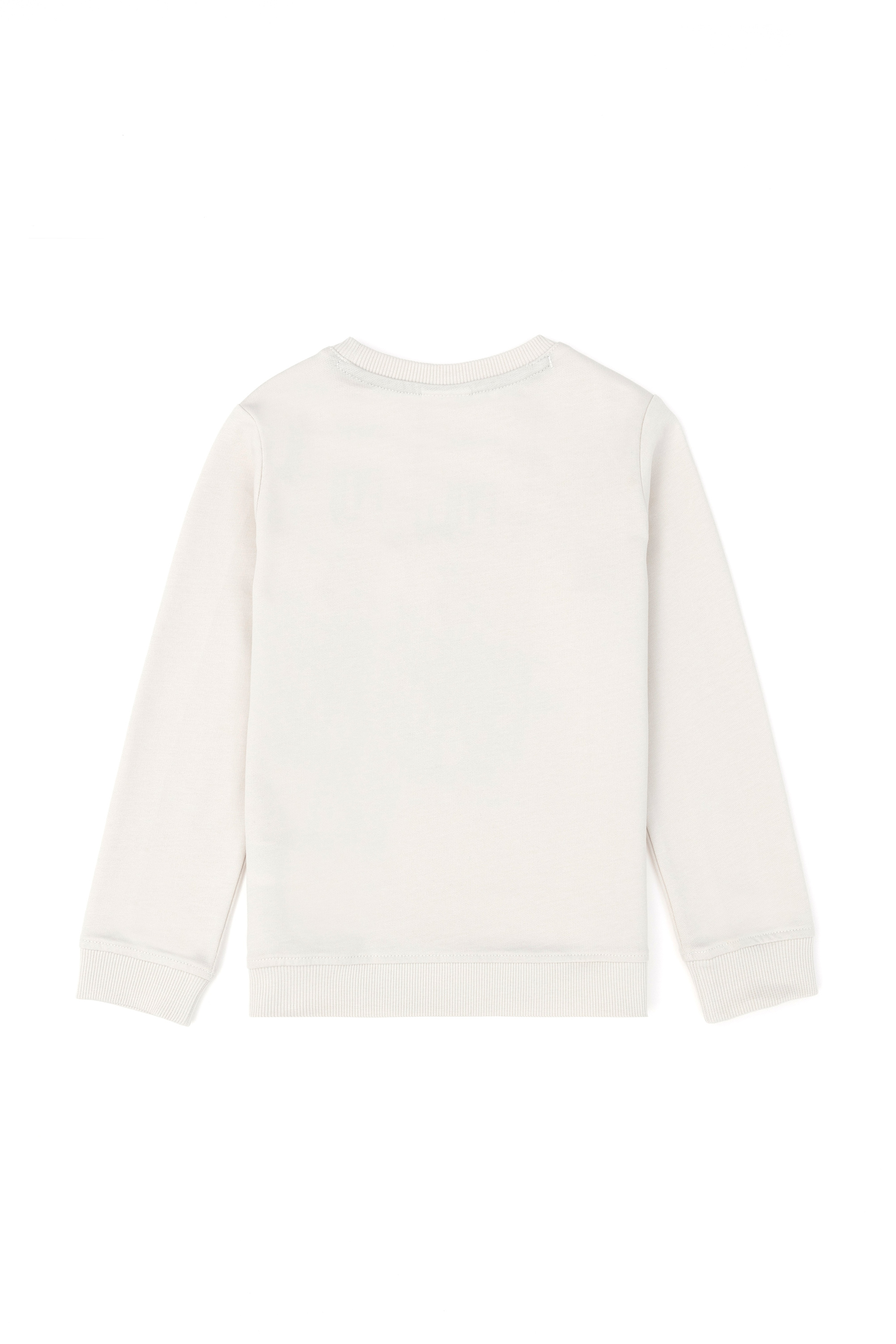 Erkek Çocuk Taş Sweatshirt