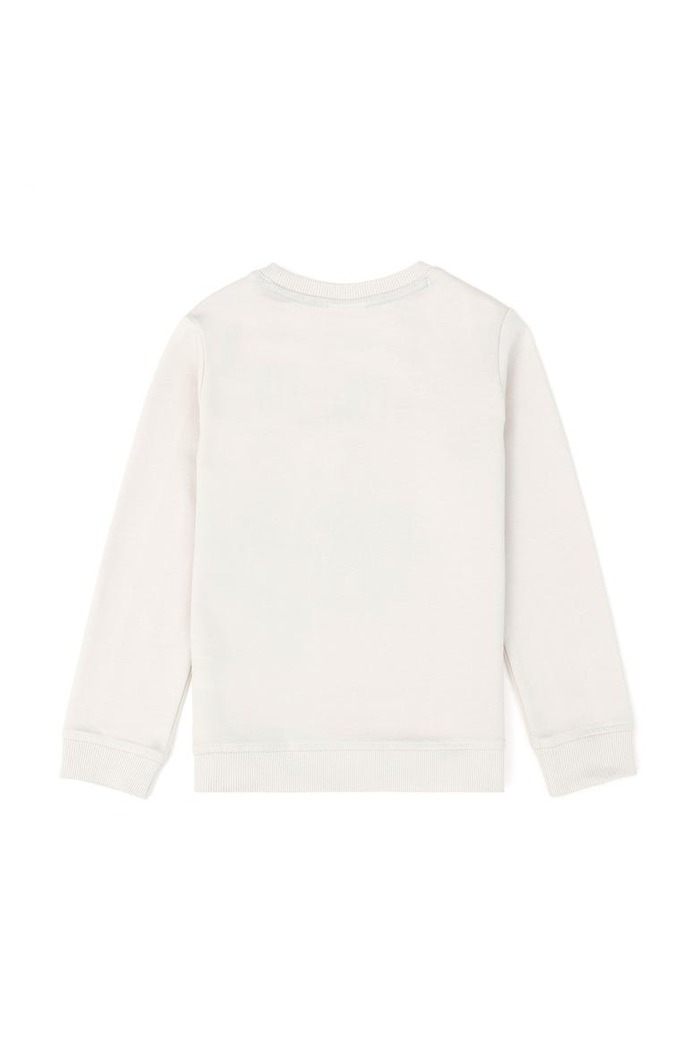 Erkek Çocuk Taş Sweatshirt - 50270758048