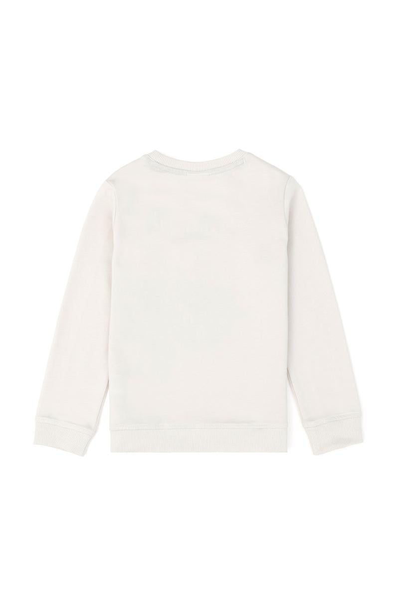 Erkek Çocuk Taş Sweatshirt