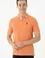 Erkek Kiremit Basic Polo Yaka Tişört