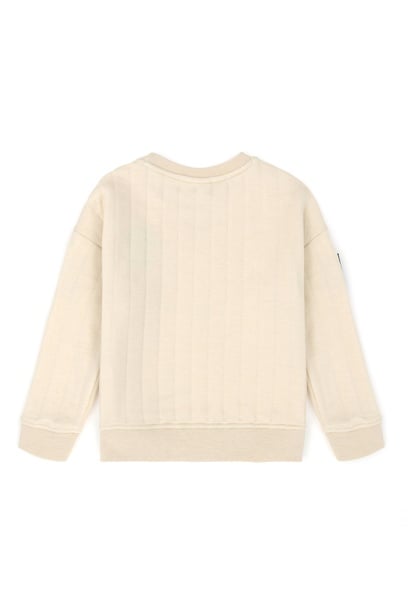 Erkek Çocuk Taş Sweatshirt