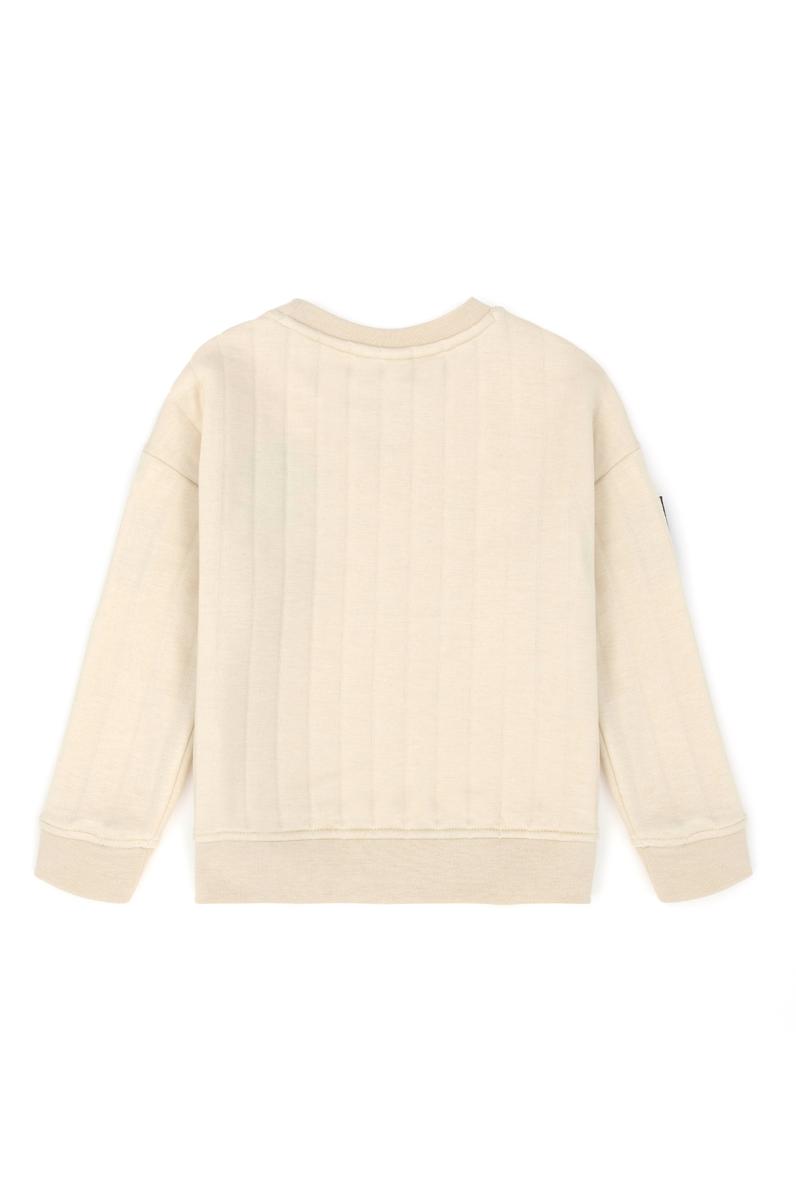 Erkek Çocuk Taş Sweatshirt