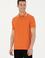 Erkek Kiremit Tişört