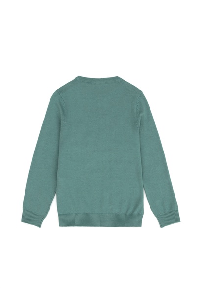 Erkek Çocuk Mint Basic Kazak