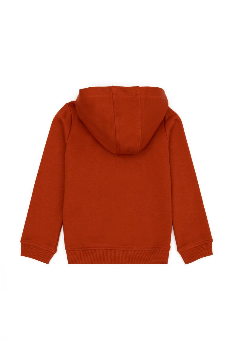 Erkek Çocuk Kiremit Basic Kapüşonlu Sweatshirt - 50269420019