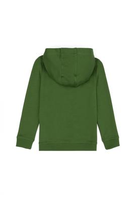 Erkek Çocuk Yeşil Basic Kapüşonlu Sweatshirt - 50269424092