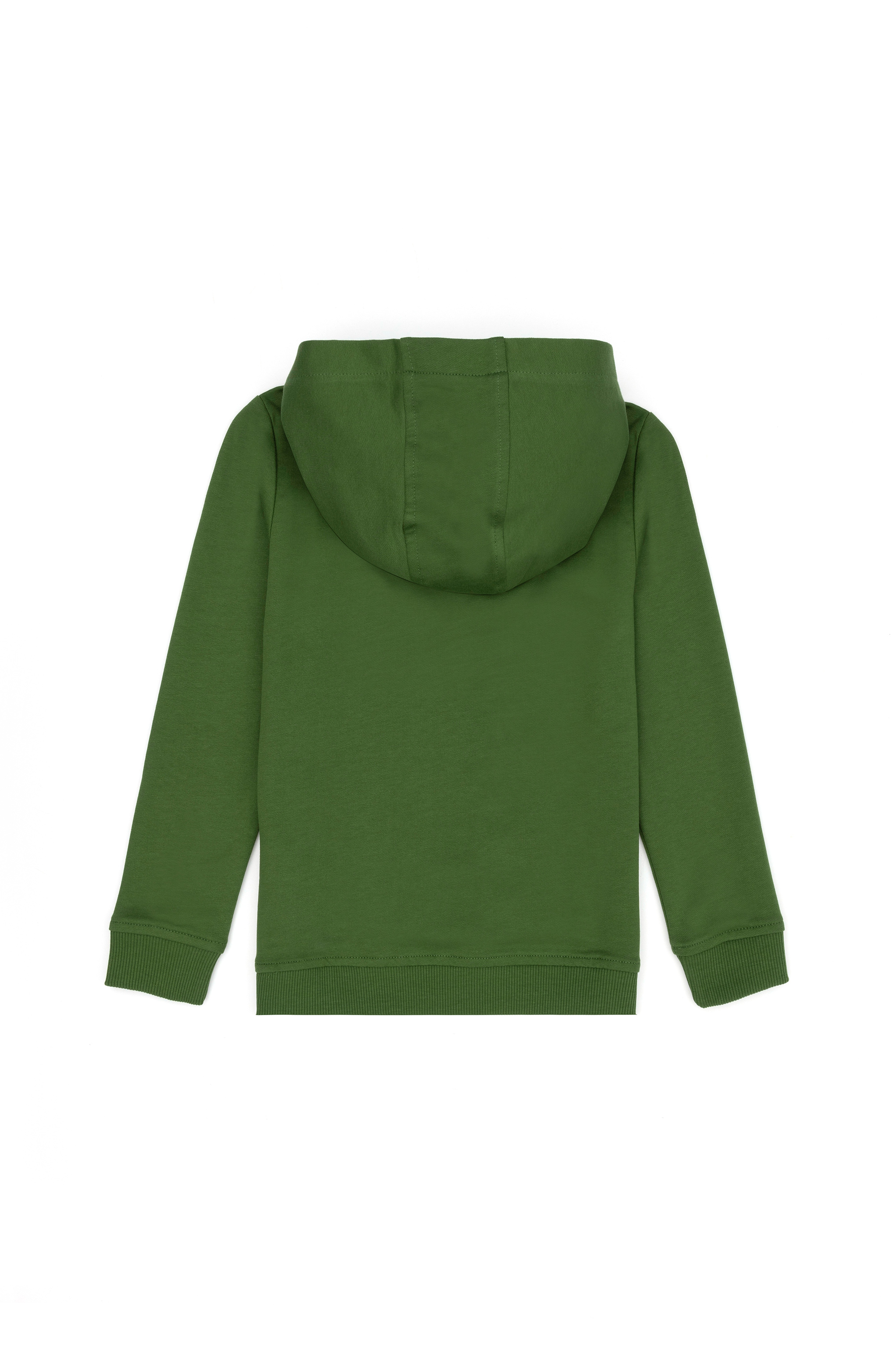 Erkek Çocuk Yeşil Basic Kapüşonlu Sweatshirt - Image 2