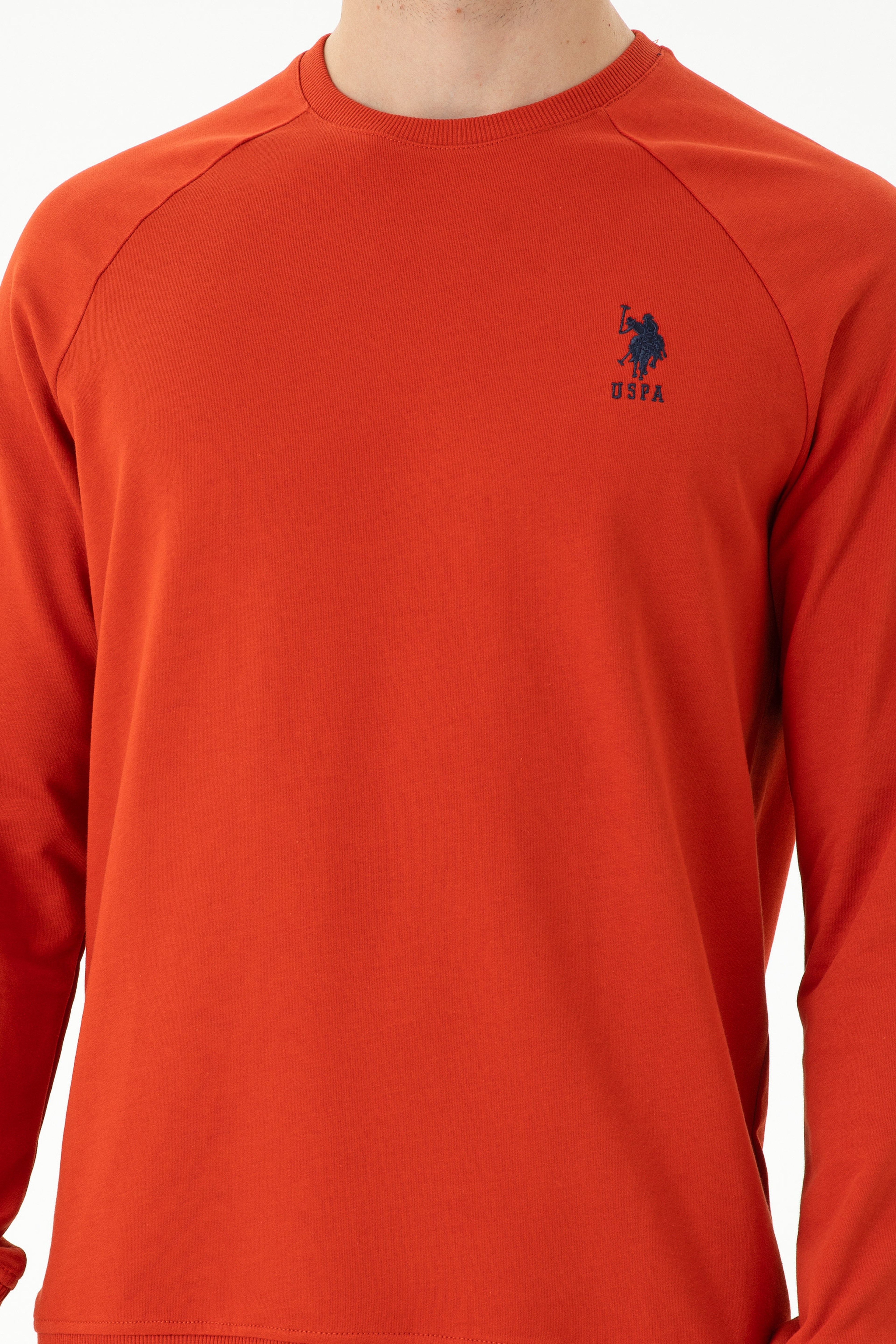 Erkek Kiremit Basic Sweatshirt - Image 6